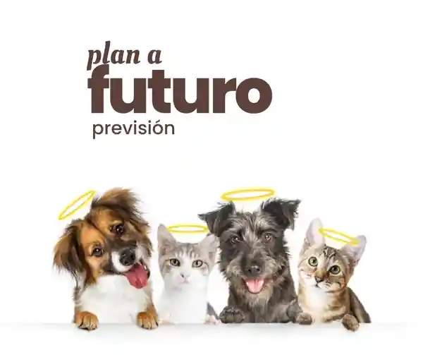 Con nuestro servicio de Plan a Futuro de cremación de mascotas