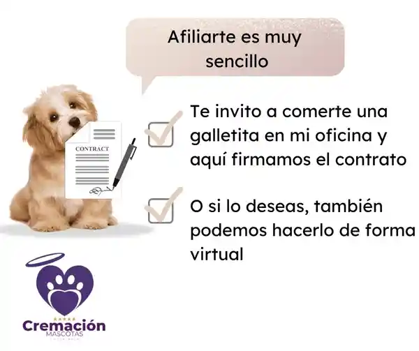 cremación de mascotas