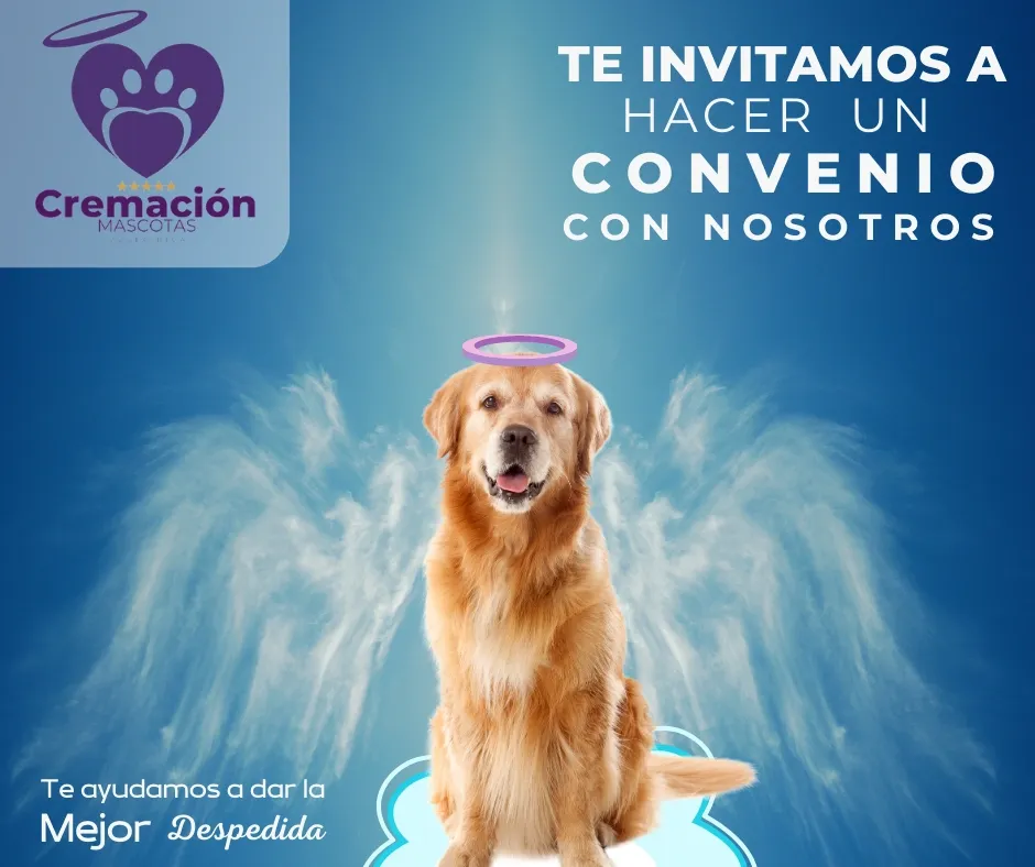 Cremación de Mascotas Costa Rica, Se parte de nuestros convenios.