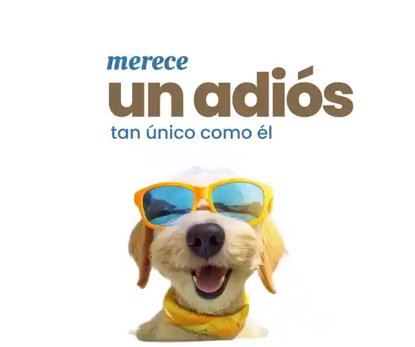 Tu mascotita merece un adiós tan único como su personalidad.