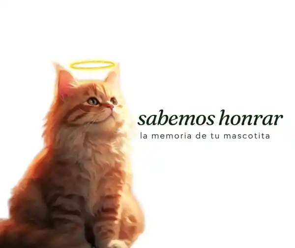 Sabemos como honrar la memoria de tu mascotita