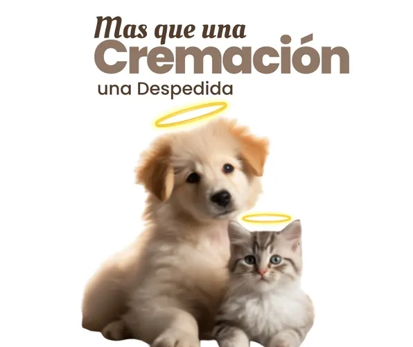  No solo cremamos mascotas; creamos despedidas personalizadas para honrar su vida. En Cremación de Mascotas Costa Rica