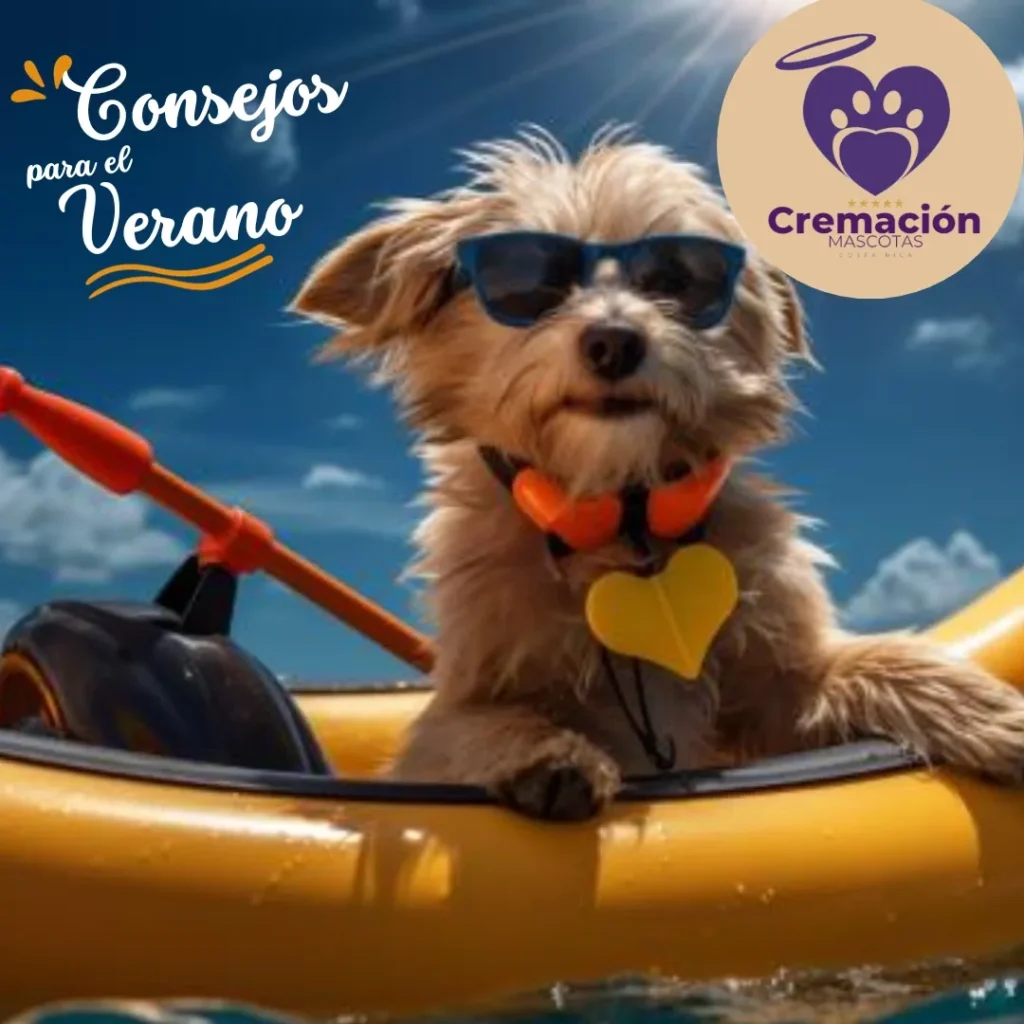 Cremación de mascotas