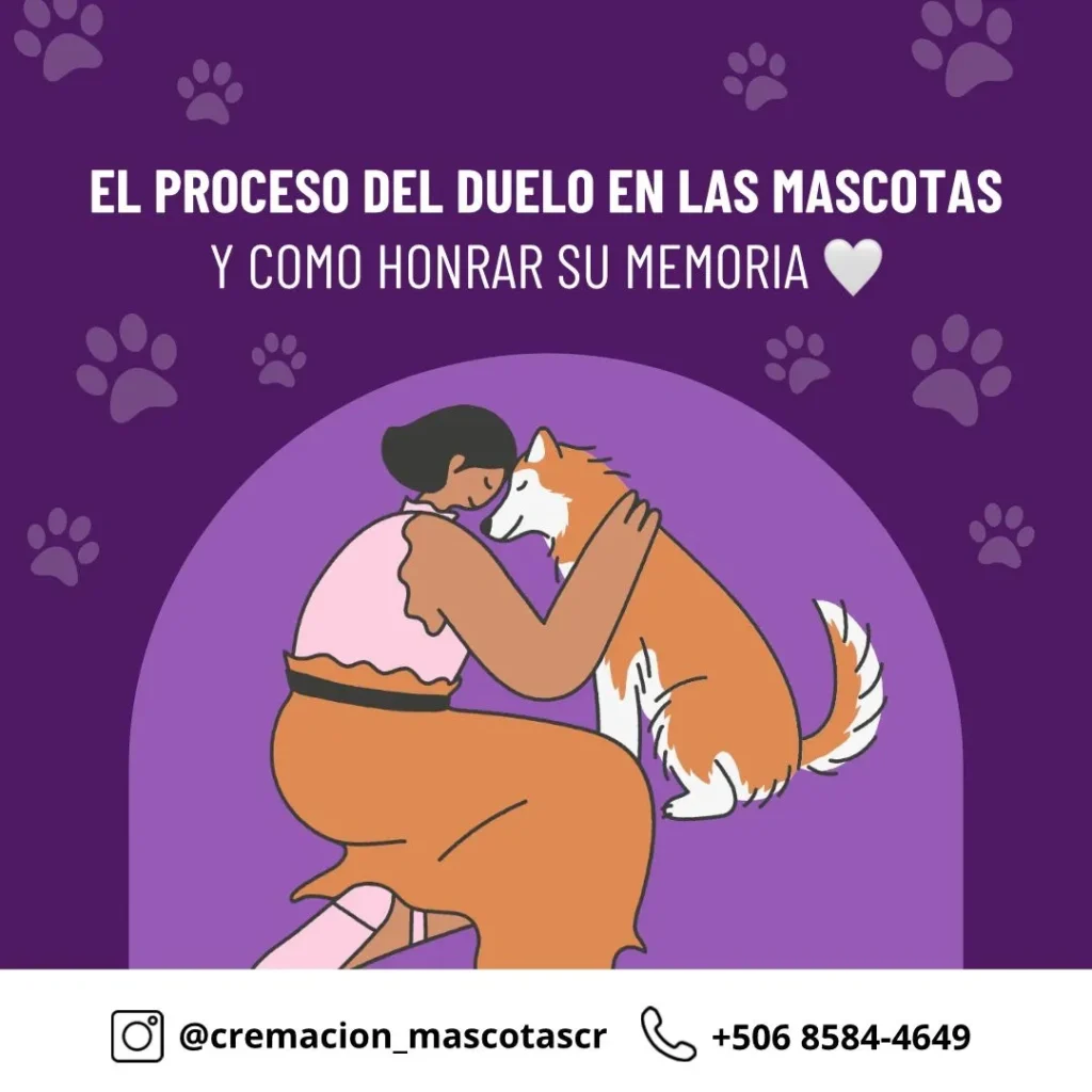 Cremación de mascotas