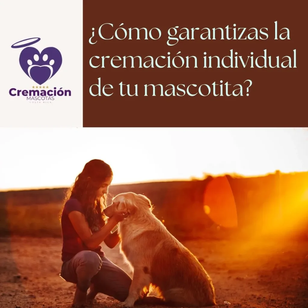 Cremación de mascotas