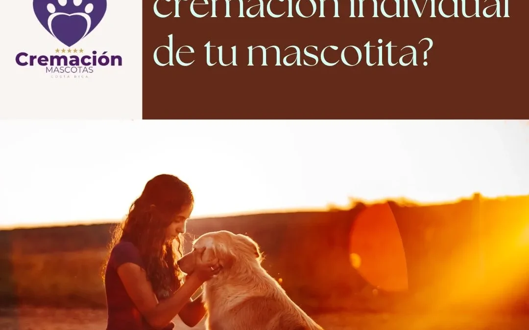 Cremación de mascotas