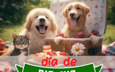 ¿Listo para un pic-nic con tu mascota ?