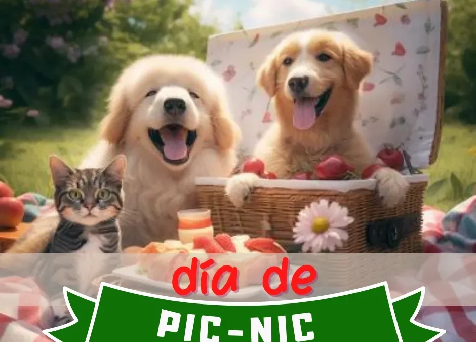 ¿Listo para un pic-nic con tu mascota ?