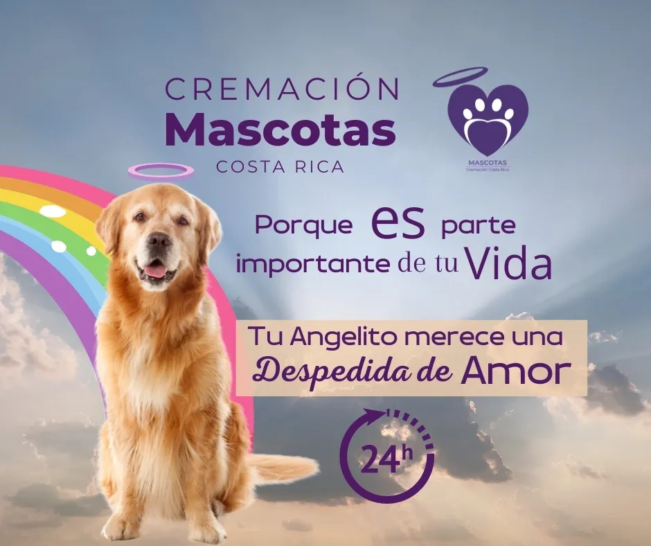 Cremación de mascotas